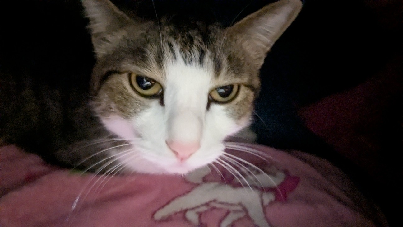 f:id:kurinmiya:20260115024351j:image