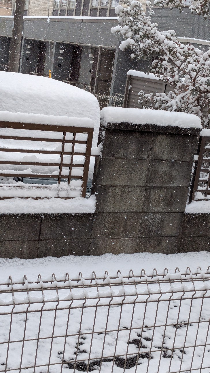 f:id:kurinmiya:20260208203444j:image