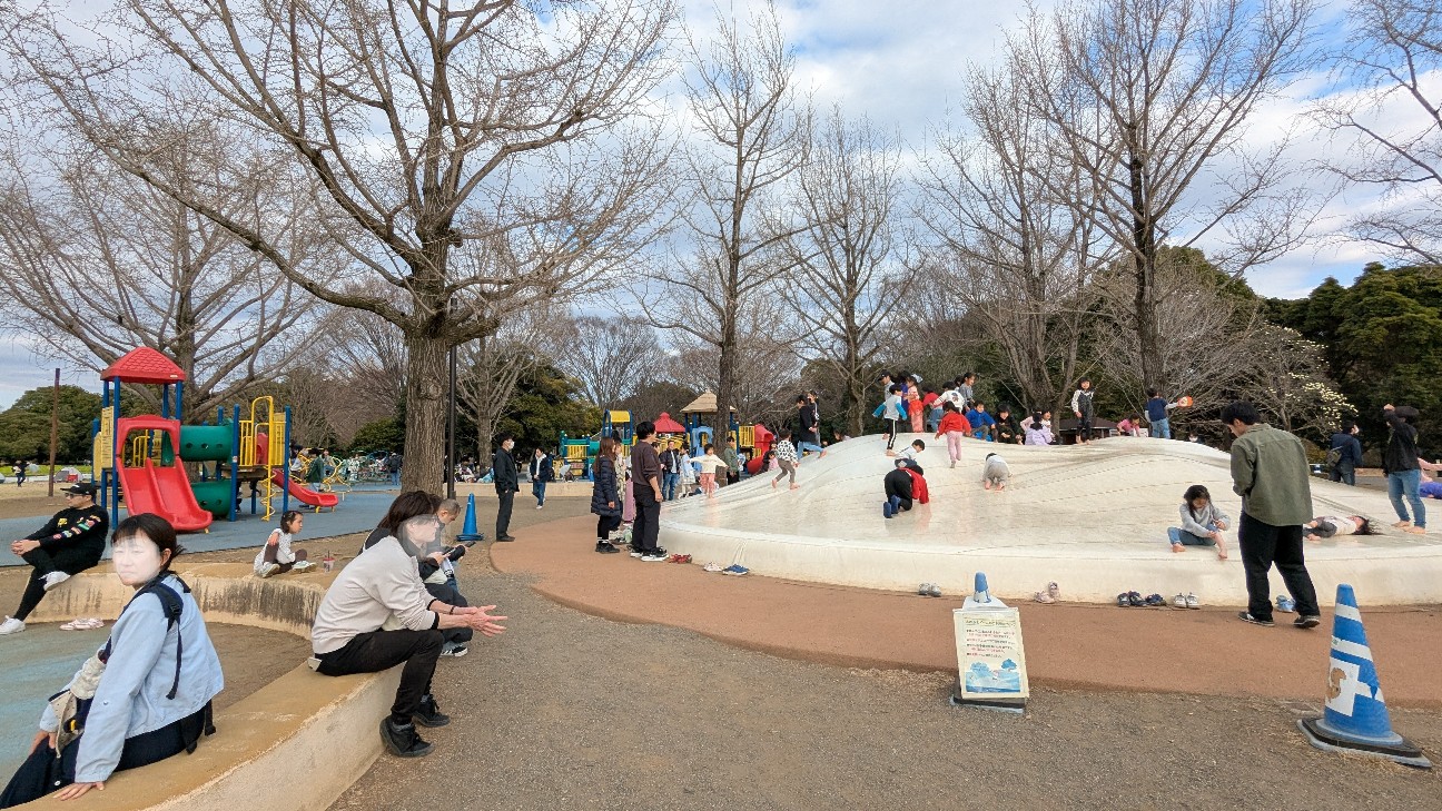 f:id:kurinmiya:20260316043741j:image f:id:kurinmiya:20260316043741j:image