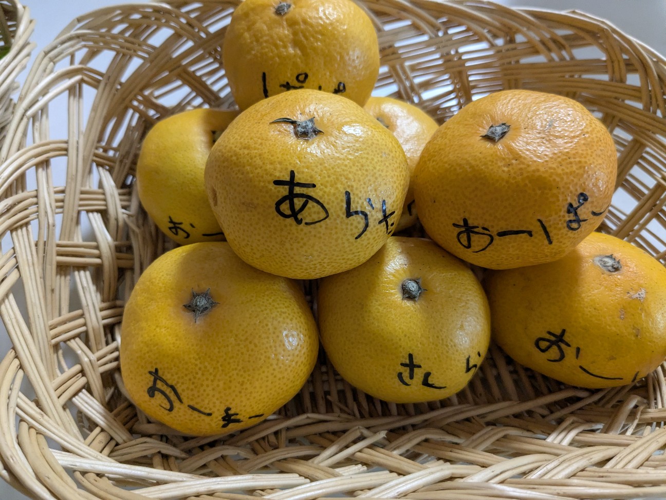 f:id:kurinmiya:20261019032728j:image