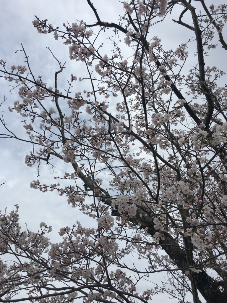 f:id:kurio310:20170407212733j:plain f:id:kurio310:20170407212733j:plain