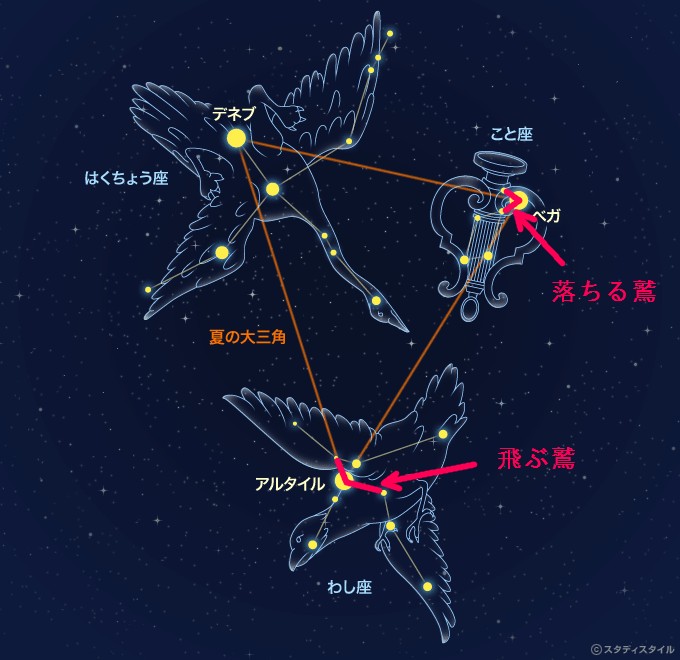 どれがデネブ アルタイル ベガ 織姫 彦星の見分け方４パターン 72の場所