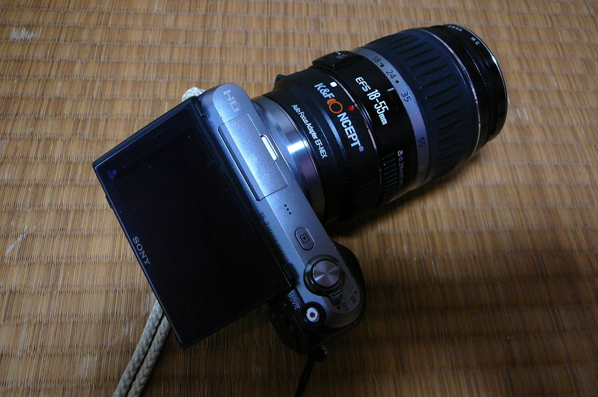 f:id:kuririnti:20200919192430j:plain