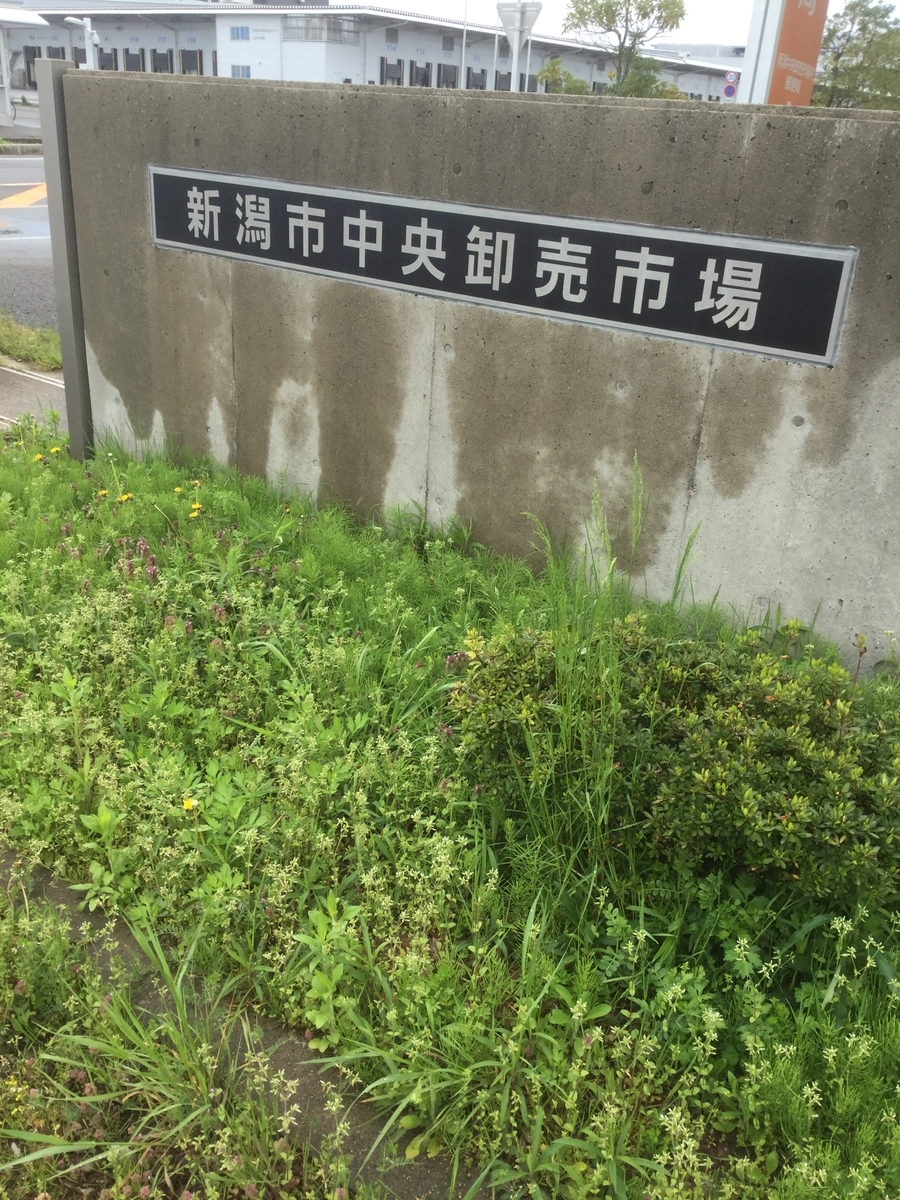 f:id:kurisakaryo:20190502210702j:plain f:id:kurisakaryo:20190502210702j:plain