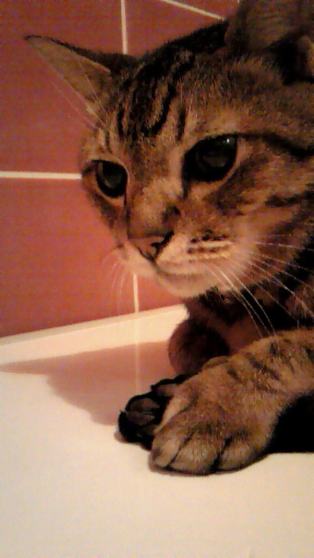 f:id:kurisu47:20111008231000j:image:w300:left