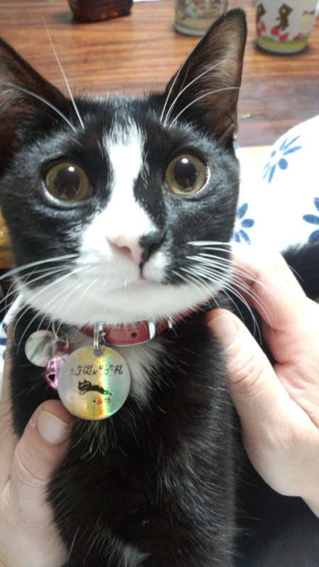 f:id:kurisu47:20121108224920j:image:w360