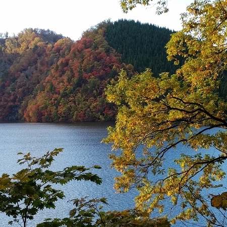 f:id:kurita0129:20181101154422j:image