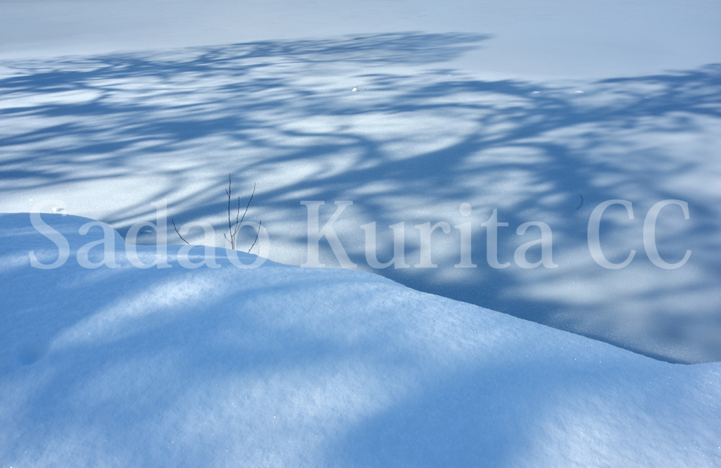 f:id:kuritasadao:20180109151221j:plain