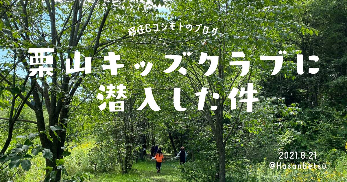 f:id:kuriyamaic:20210822224102p:plain