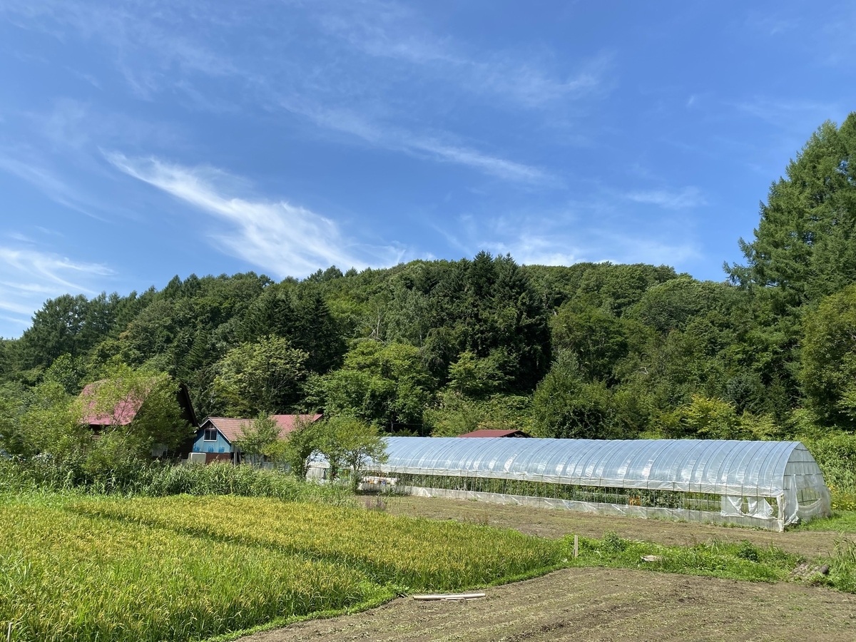 f:id:kuriyamaic:20210829215514j:plain