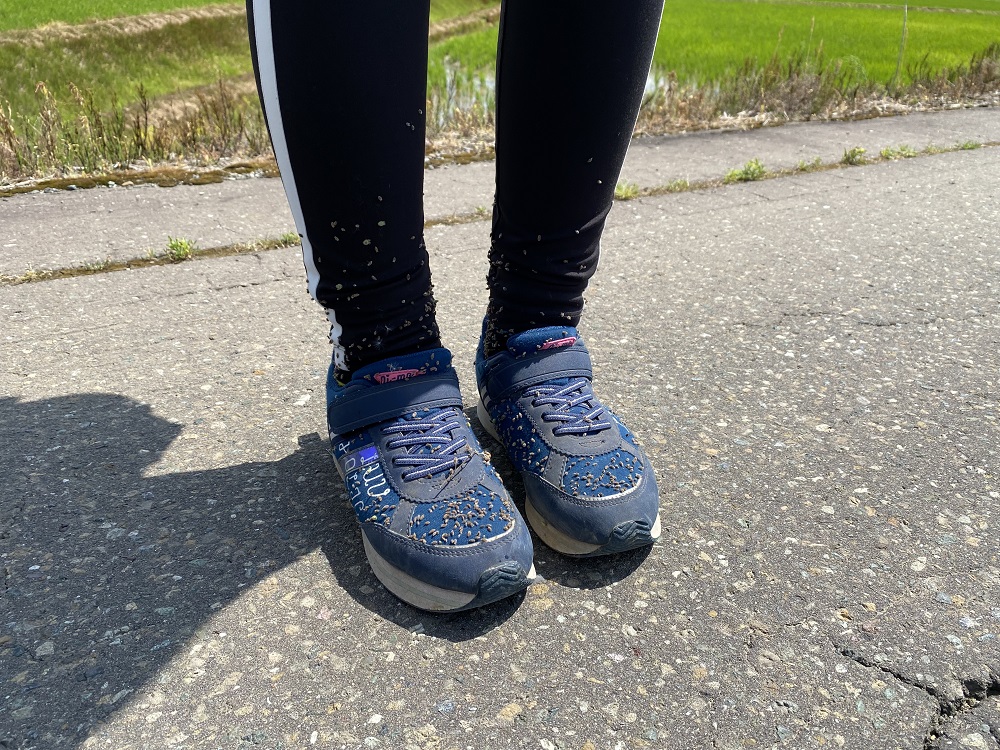 f:id:kuriyamaic:20210930173513j:plain