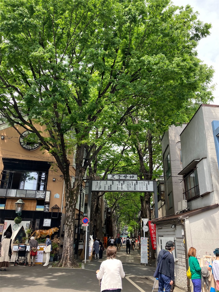 f:id:kuriyamajo:20240421221221j:image