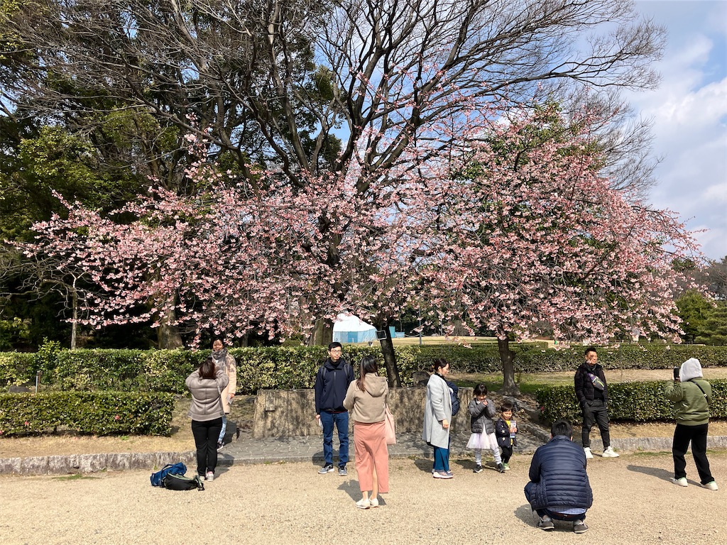 f:id:kuriyamajo:20240427151155j:image