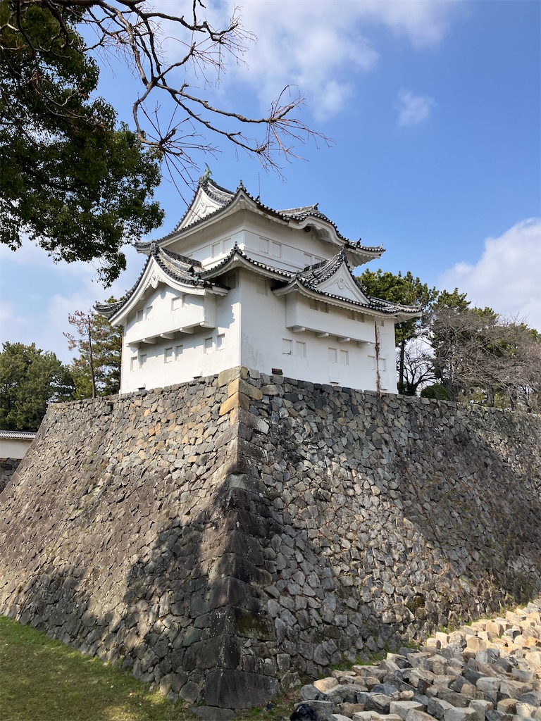 f:id:kuriyamajo:20240427151158j:image