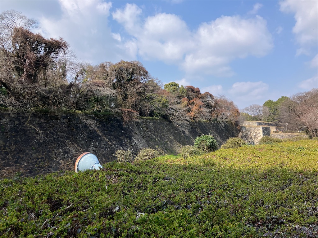 f:id:kuriyamajo:20240427152144j:image