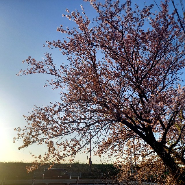 f:id:kuriyamakahorin:20220421132408j:image f:id:kuriyamakahorin:20220421132408j:image