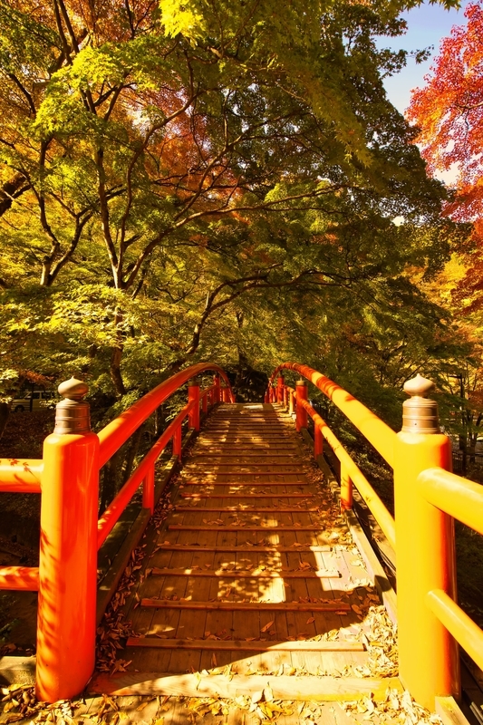 f:id:kuro-neko3:20201102181938j:image