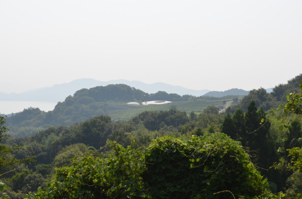 f:id:kuro-nicle:20130813090727j:image:w640