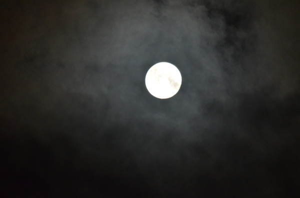 f:id:kuro-nicle:20130821234225j:image:w640