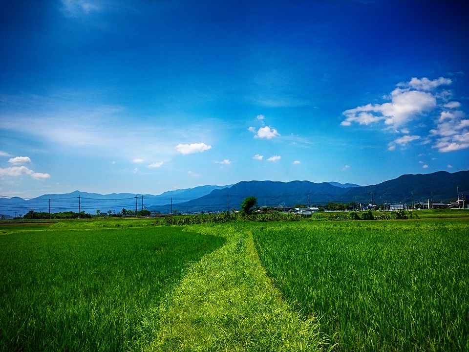 超田舎