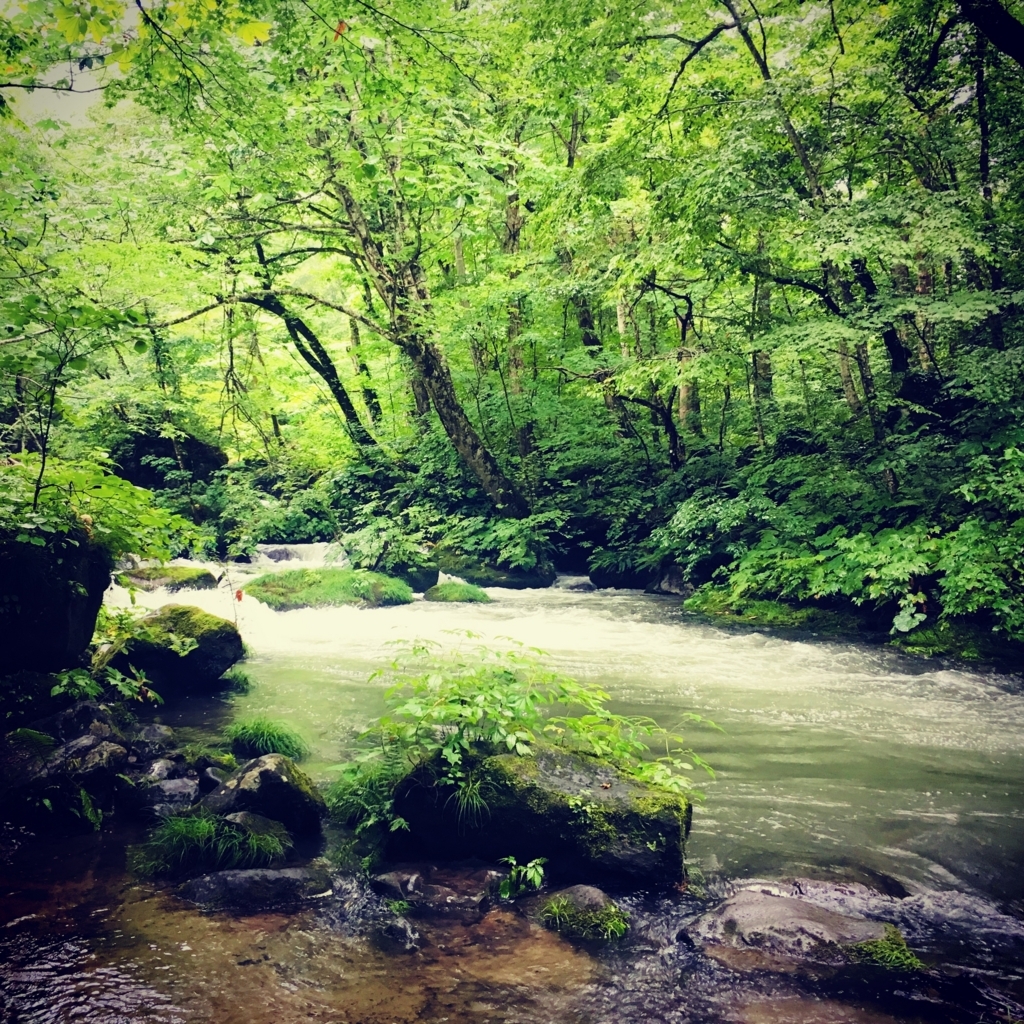 雨が降っても楽しめた青森 岩手旅行全行程と感想のまとめ くろやんの日記 雨が降っても楽しめた青森 岩手旅行全行程と感想のまとめ くろやんの日記