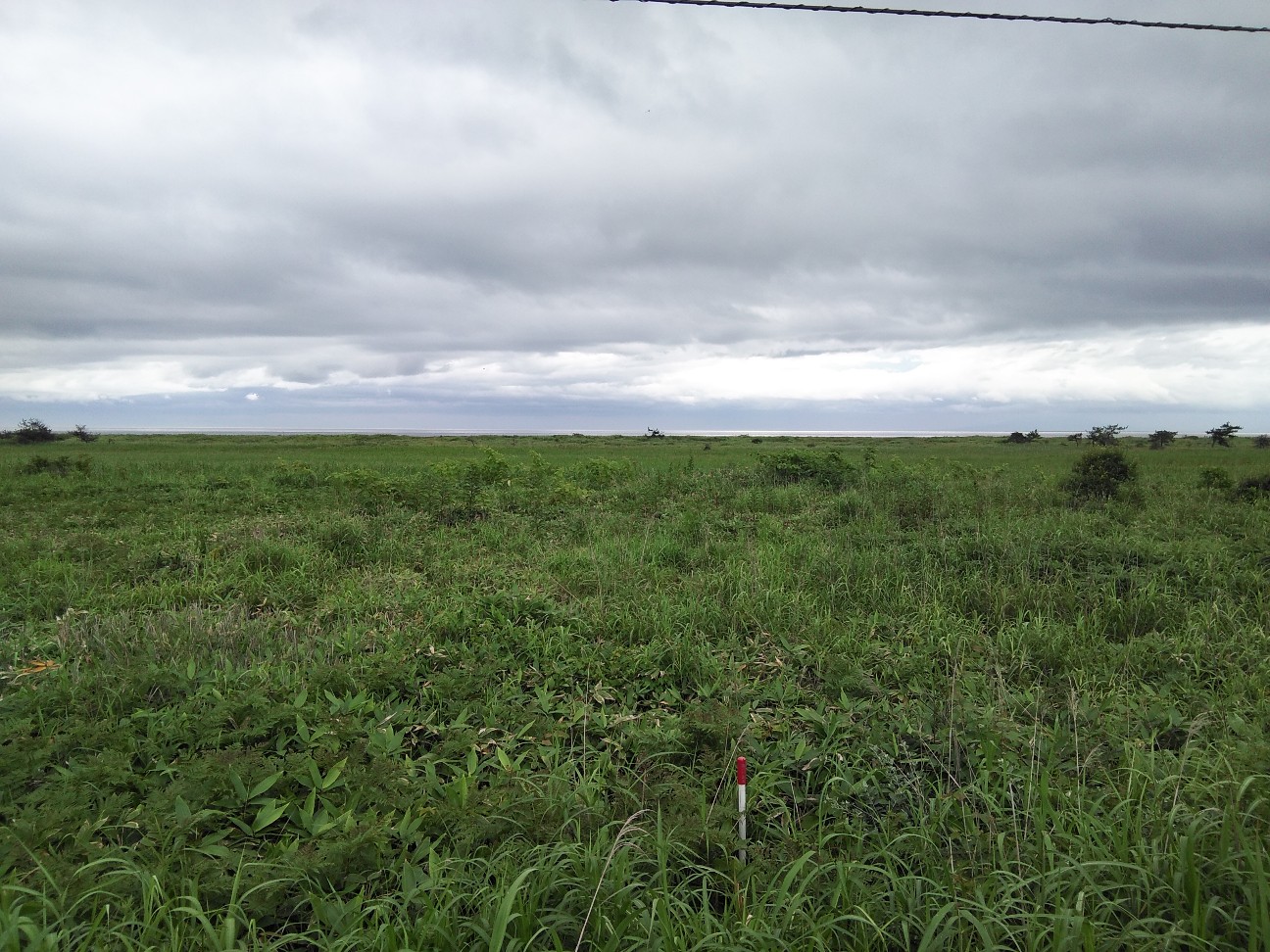 f:id:kuro1234567:20190727200029j:image