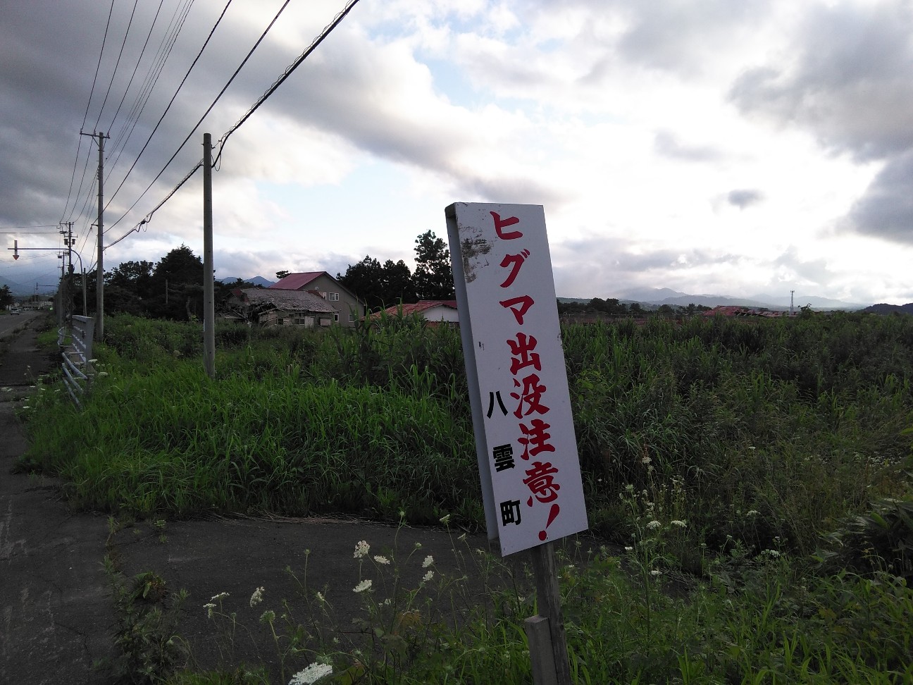 f:id:kuro1234567:20190727200555j:image