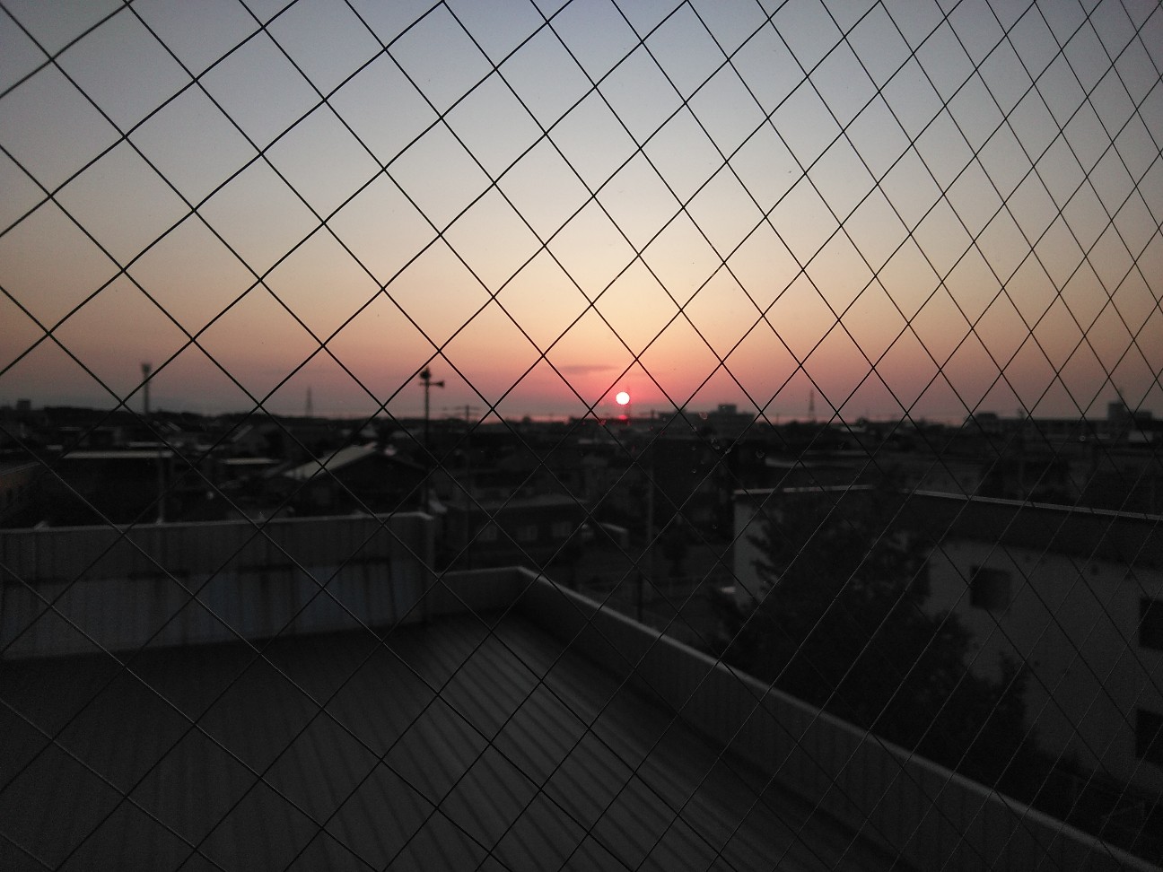 f:id:kuro1234567:20190728200157j:image