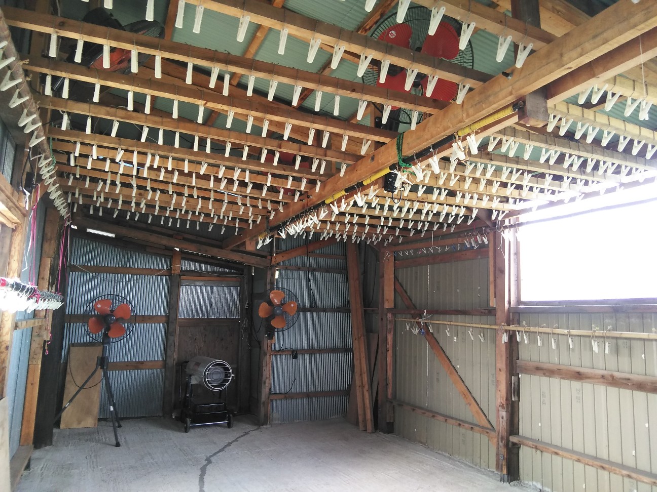 f:id:kuro1234567:20190728200553j:image