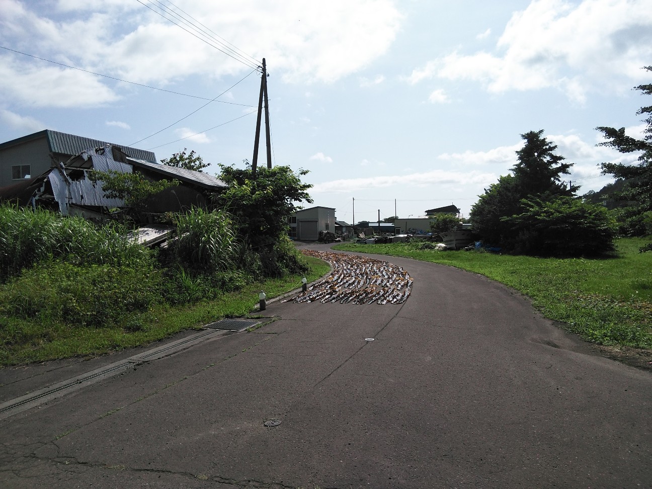 f:id:kuro1234567:20190728200643j:image