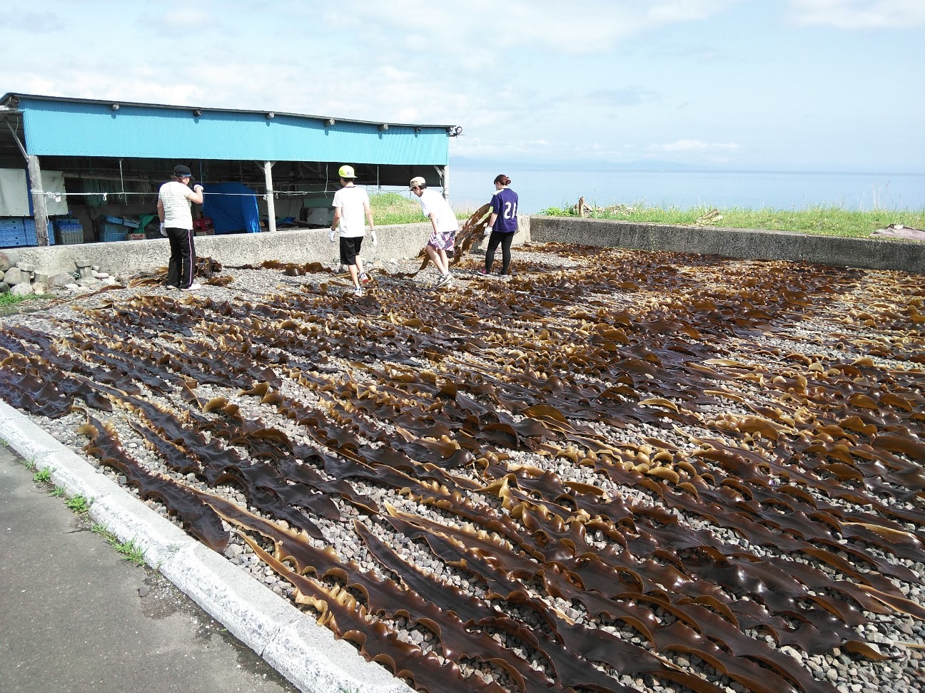 f:id:kuro1234567:20190728200708j:image