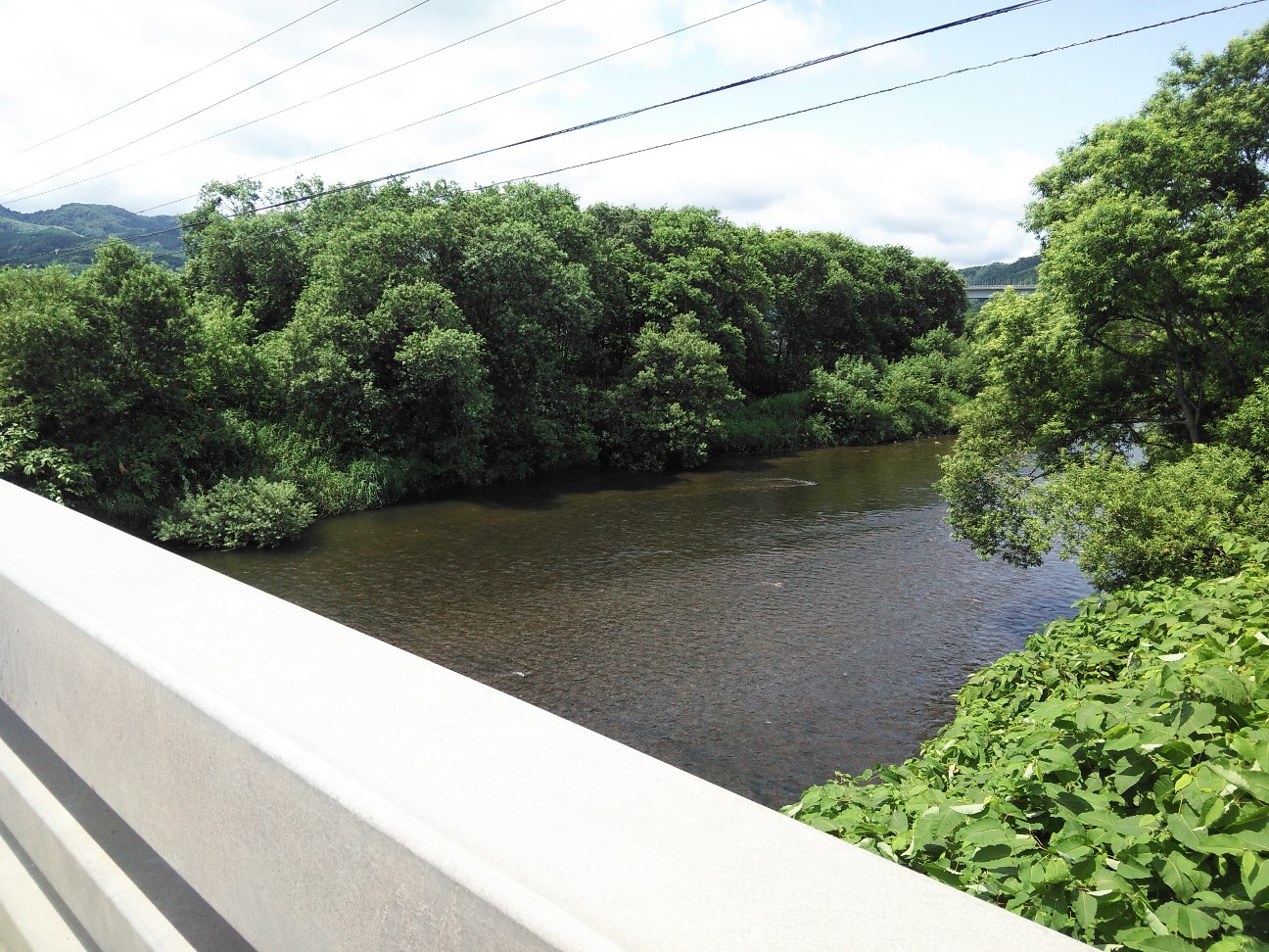 f:id:kuro1234567:20190728200839j:image