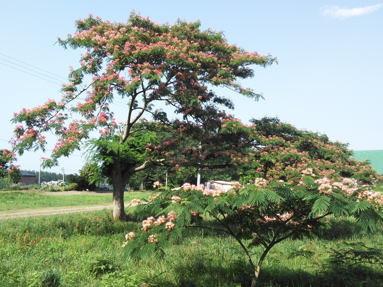 f:id:kuro1234567:20190806173632j:image