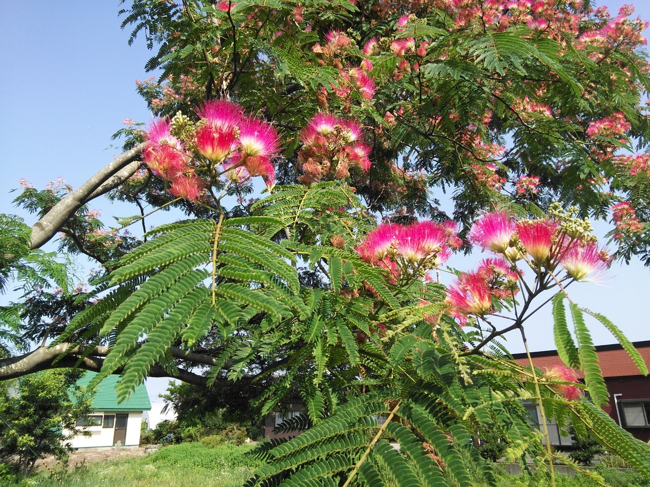 f:id:kuro1234567:20190806173643j:image