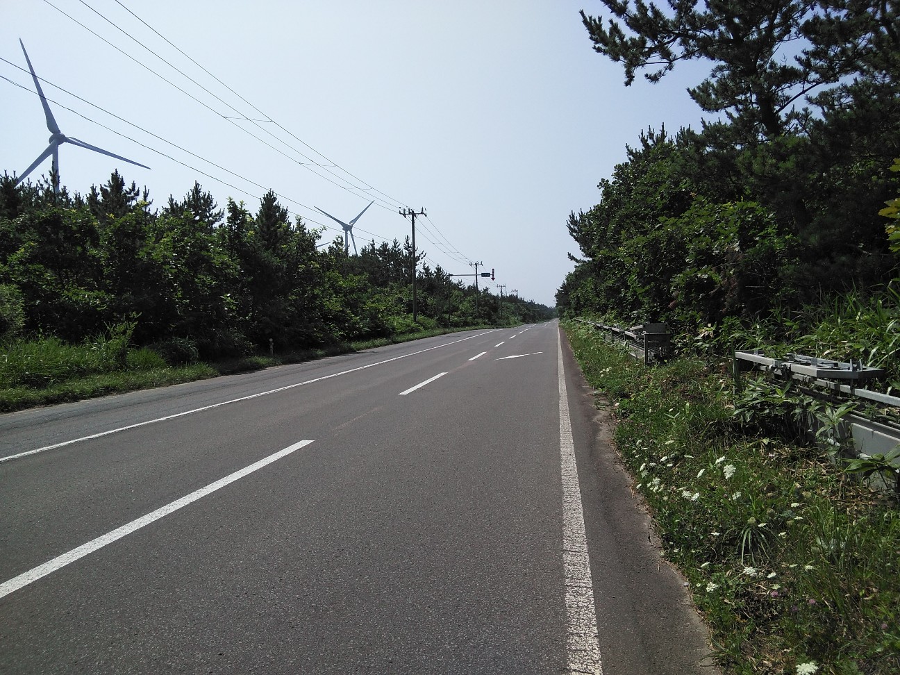 f:id:kuro1234567:20190806173914j:image