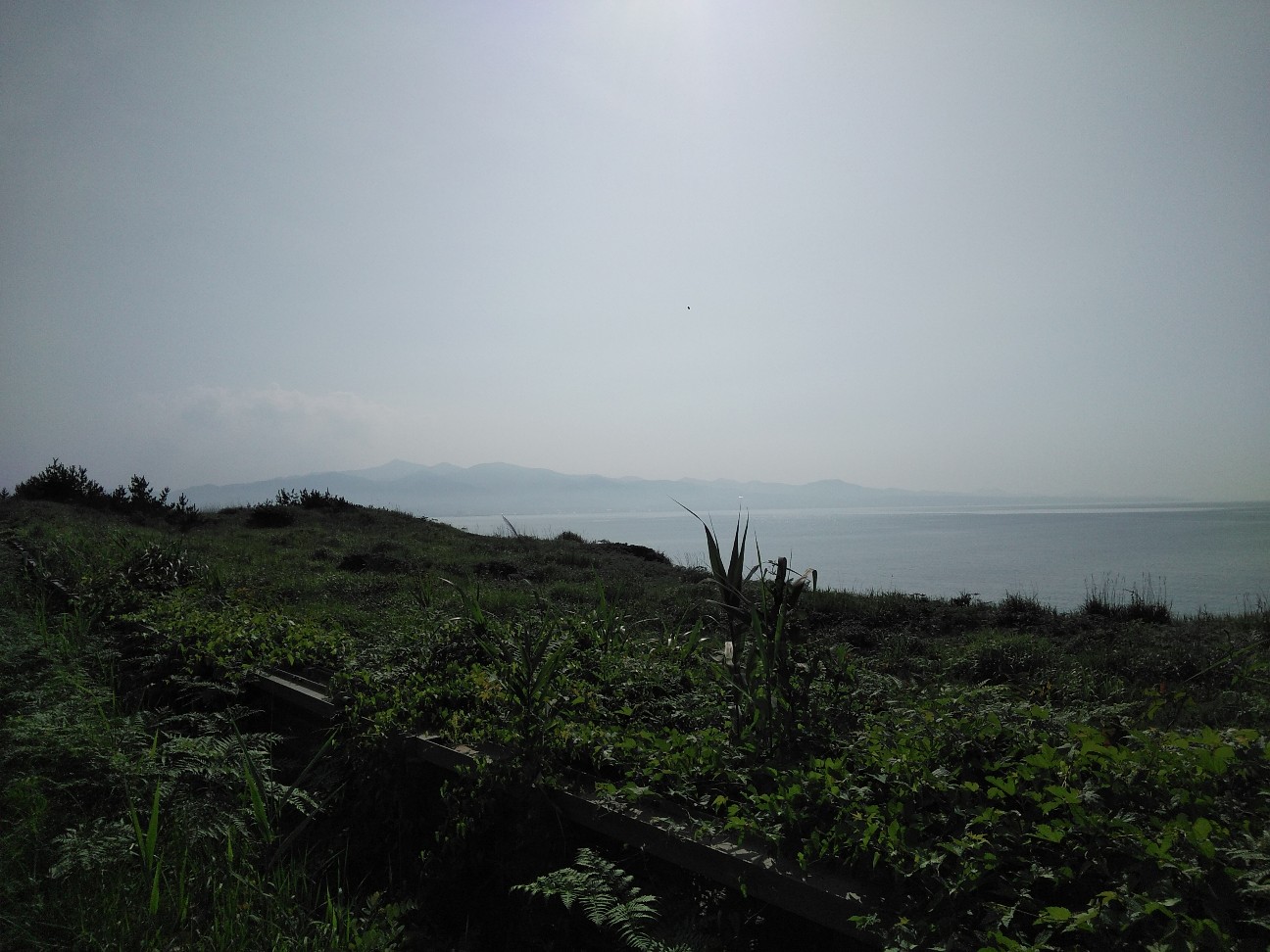 f:id:kuro1234567:20190806174117j:image