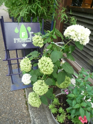 f:id:kuro1649:20110811080649j:image f:id:kuro1649:20110811080649j:image