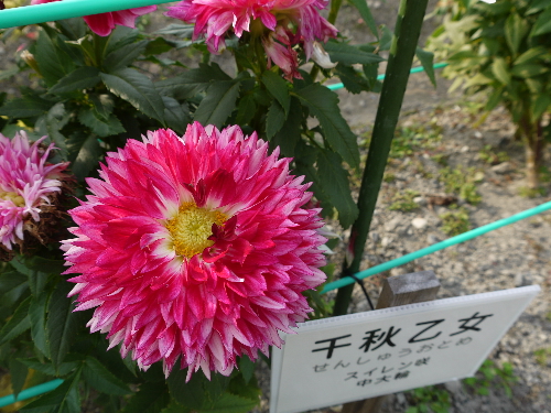 f:id:kuro1649:20111017231152j:image