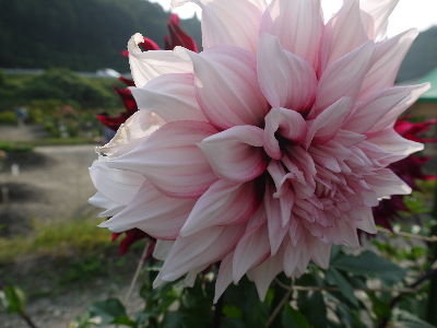 f:id:kuro1649:20111017233610j:image