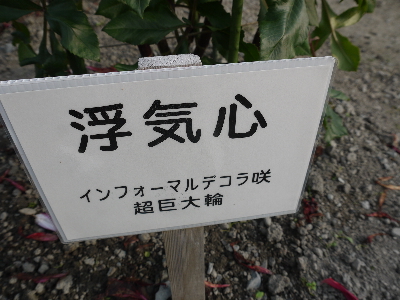 f:id:kuro1649:20111017233636j:image