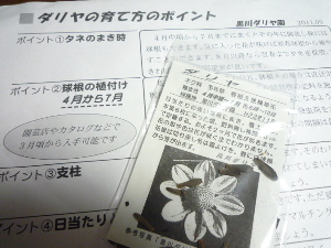f:id:kuro1649:20111017235745j:image