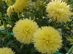 f:id:kuro1649:20111018000238j:image