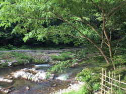 f:id:kuro1649:20160814145758j:image f:id:kuro1649:20160814145758j:image