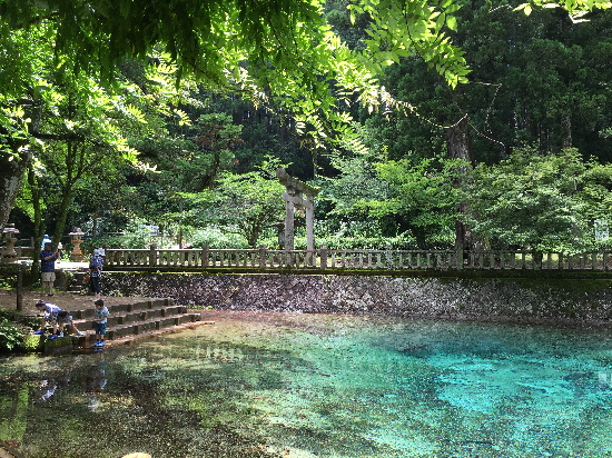 f:id:kuro1649:20160822132247j:image f:id:kuro1649:20160822132247j:image