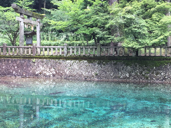 f:id:kuro1649:20160822132248j:image f:id:kuro1649:20160822132248j:image