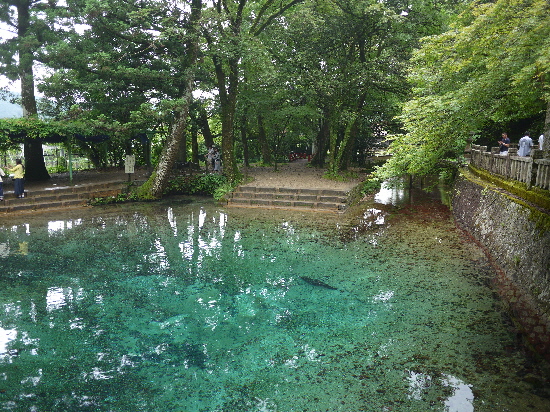 f:id:kuro1649:20160822132631j:image f:id:kuro1649:20160822132631j:image