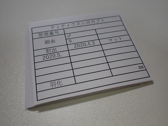 f:id:kuro1_dia:20200523220835j:plain