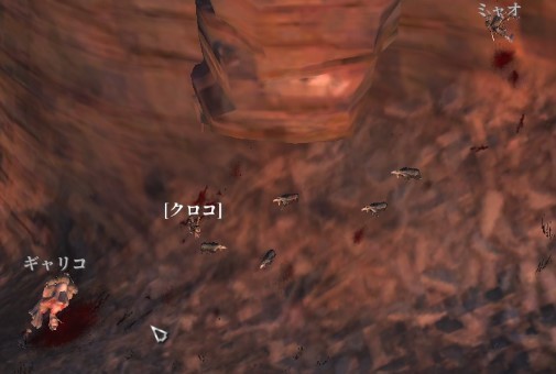 kn449.jpg