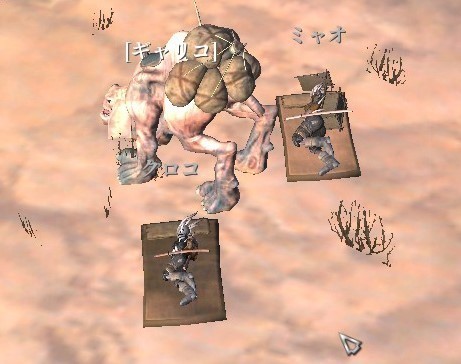 kn462.jpg