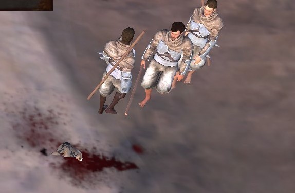 kn469.jpg